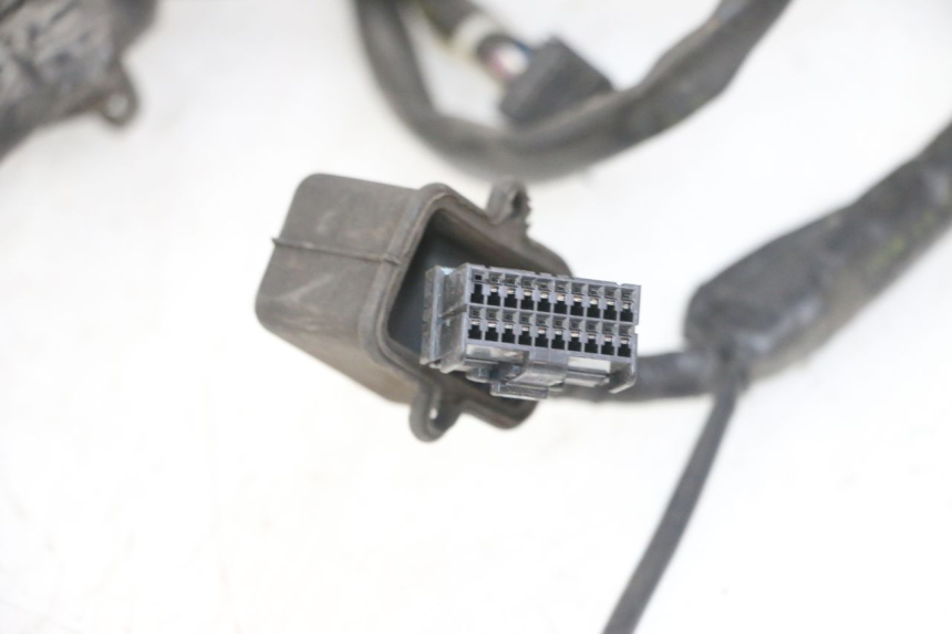 photo de WIRING HARNESS GILERA NEXUS 125 (2009 - 2013)