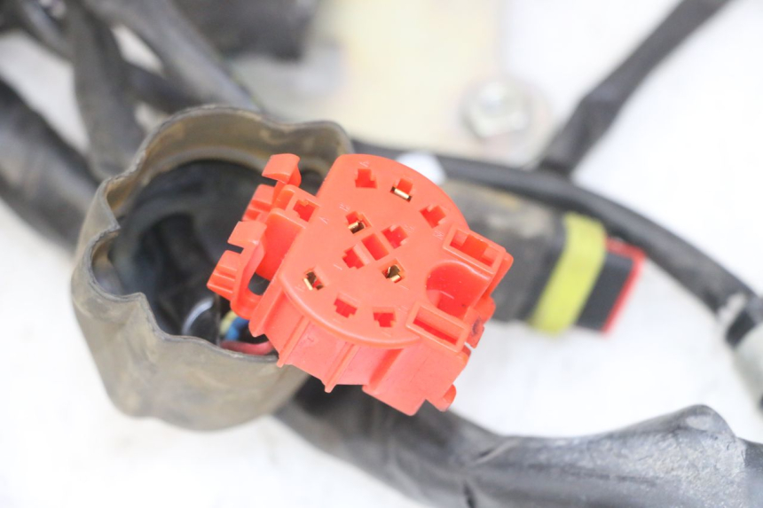 photo de WIRING HARNESS GILERA NEXUS 125 (2009 - 2013)