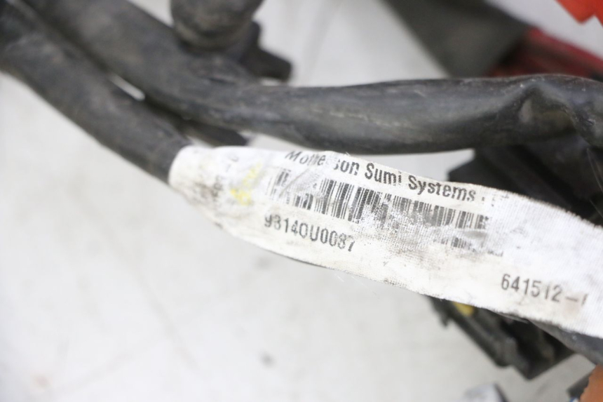 photo de WIRING HARNESS GILERA NEXUS 125 (2009 - 2013)