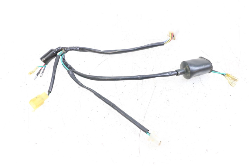 photo de WIRE HARNESS NITRO MOTORS THUNDER 125