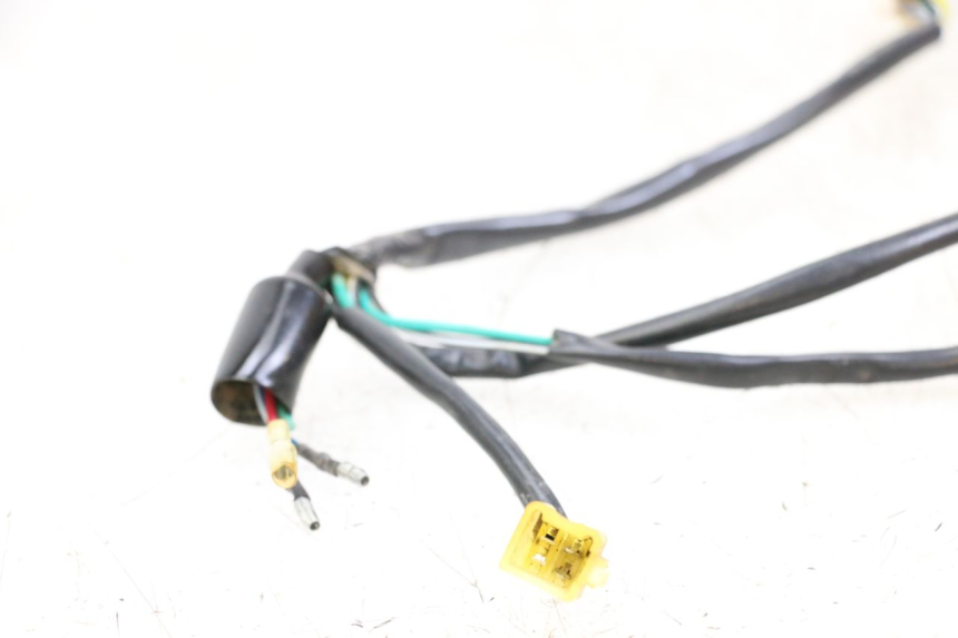 photo de WIRE HARNESS NITRO MOTORS THUNDER 125