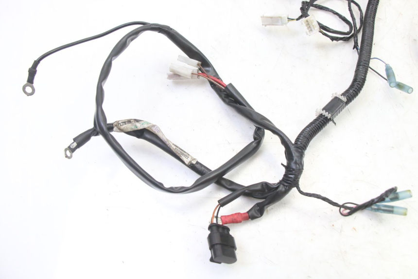 photo de WIRE HARNESS PIAGGIO NRG POWER PUREJET 50 (2018 - 2021)