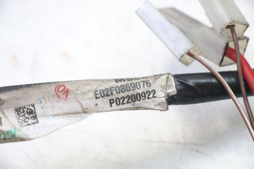 photo de WIRE HARNESS PIAGGIO NRG POWER PUREJET 50 (2018 - 2021)