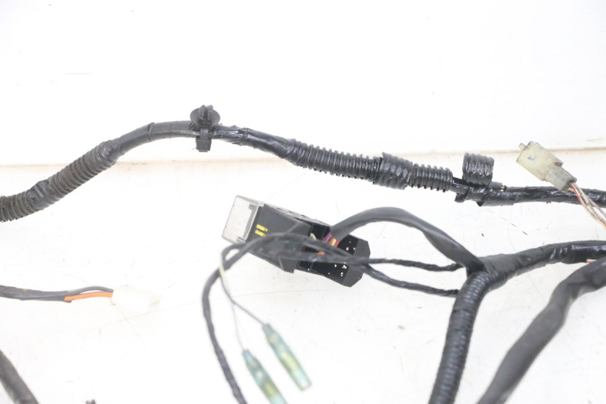 photo de WIRE HARNESS PIAGGIO NRG POWER PUREJET 50 (2018 - 2021)