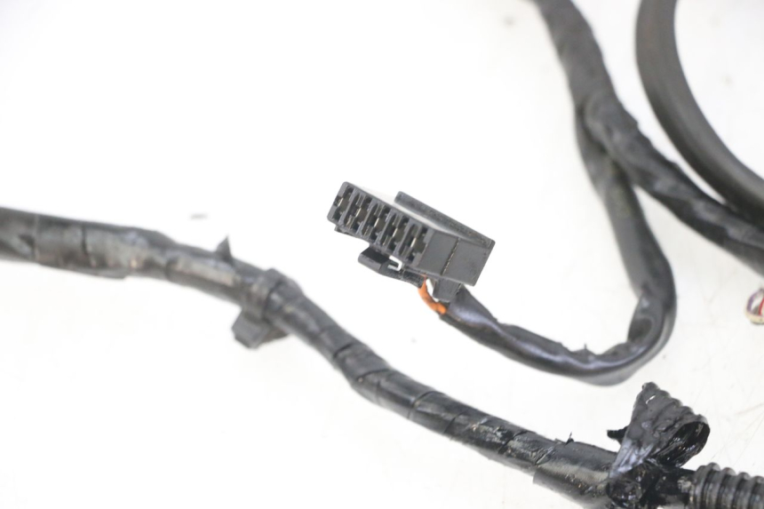 photo de WIRE HARNESS PIAGGIO NRG POWER PUREJET 50 (2018 - 2021)