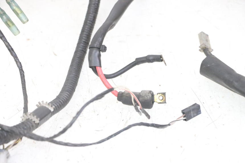 photo de WIRE HARNESS PIAGGIO NRG POWER PUREJET 50 (2018 - 2021)