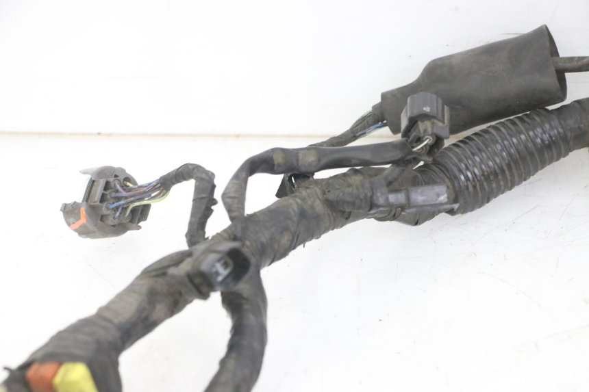 photo de WIRE HARNESS HONDA NTV DEAUVILLE ABS 700 (2007 - 2016)