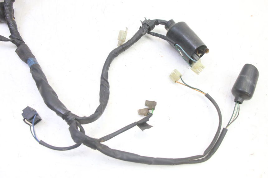 photo de WIRE HARNESS HONDA NTV DEAUVILLE 650 (2001 - 2006)