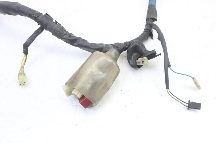 photo de WIRE HARNESS HONDA NTV DEAUVILLE 650 (2001 - 2006)