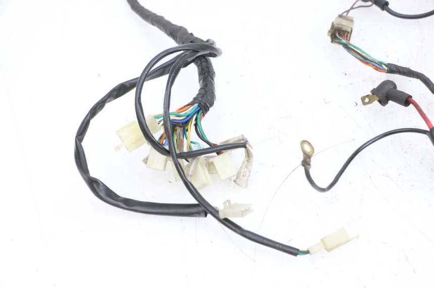 photo de WIRING HARNESS JM MOTORS OLDIES 4T 50 (2010 - 2020) - Markings and original references