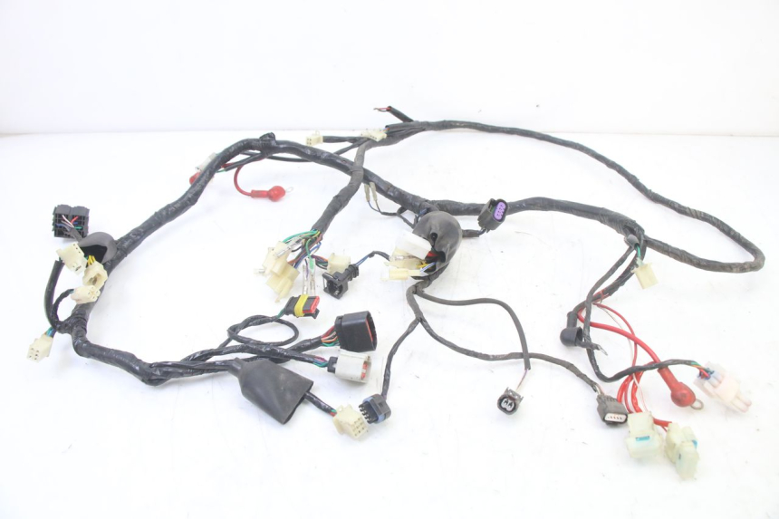 photo de WIRE HARNESS JM MOTORS OLDIES GT 4T 50 (2018 - 2025)