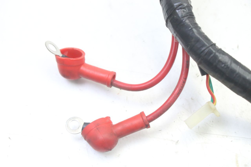 photo de WIRE HARNESS JM MOTORS OLDIES GT 4T 50 (2018 - 2025)