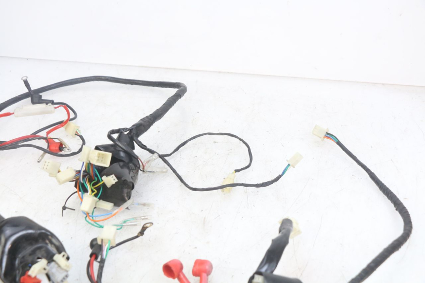 photo de WIRING HARNESS JM MOTORS OLDIES RS 4T 50 (2021 - 2024)