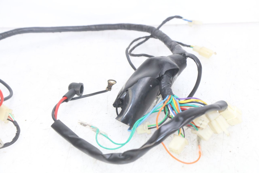 photo de WIRING HARNESS JM MOTORS OLDIES RS 4T 50 (2021 - 2024)