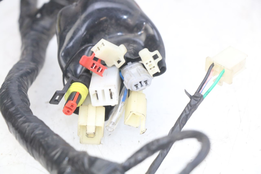 photo de WIRING HARNESS JM MOTORS OLDIES RS 4T 50 (2021 - 2024)