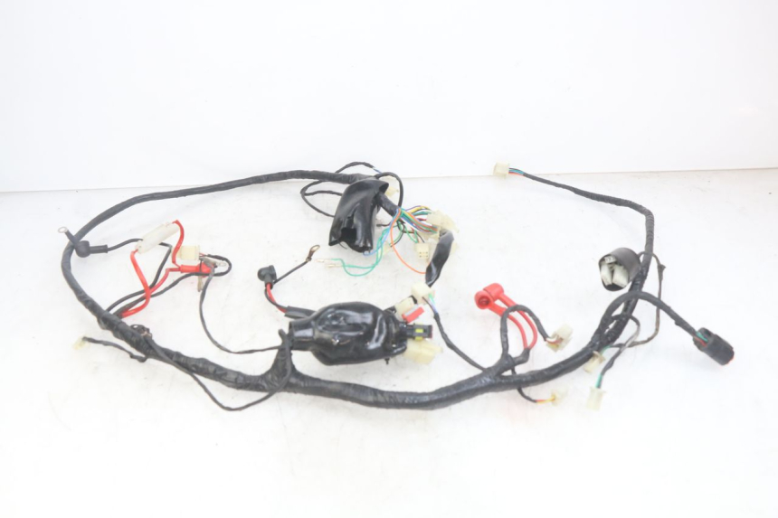 photo de WIRING HARNESS JM MOTORS OLDIES RS 4T 50 (2021 - 2024)
