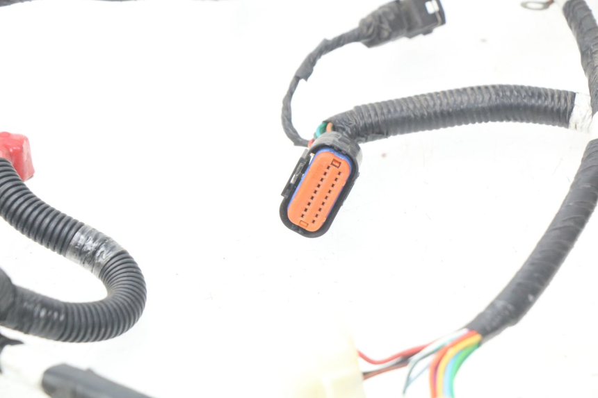 photo de WIRE HARNESS SYM ORBIT III 3 4T 50 (2021 - 2025)