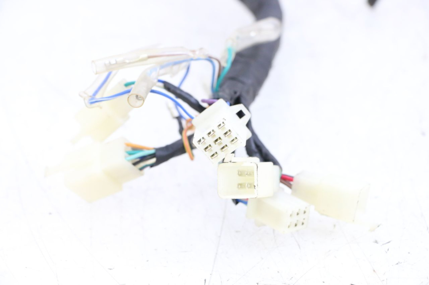 photo de WIRE HARNESS ASTOR ORCAL 125 (2015 - 2017)
