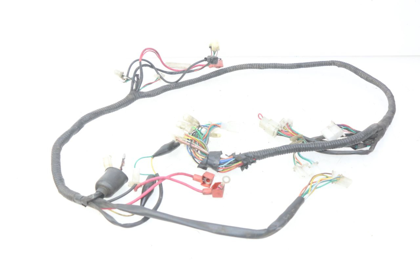 photo de WIRE HARNESS IMF INDUSTRIE PACH 2T 50 (2009 - 2018)