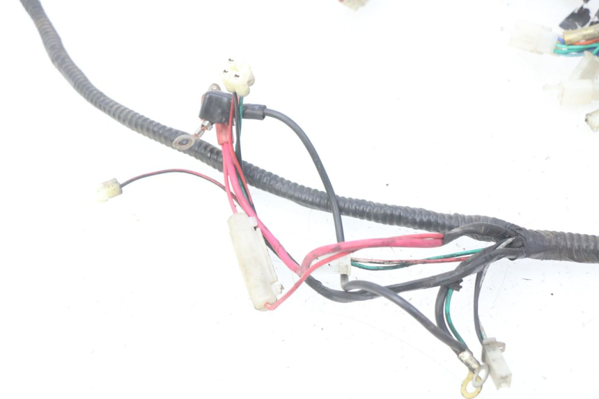 photo de WIRE HARNESS IMF INDUSTRIE PACH 2T 50 (2009 - 2018)