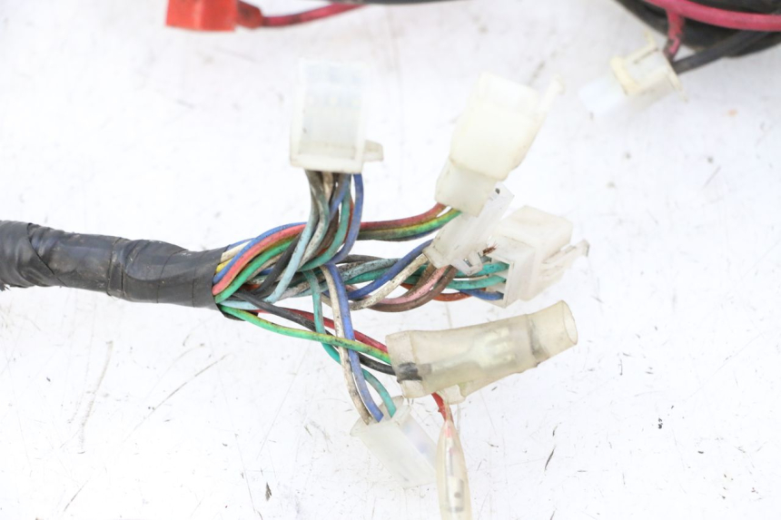photo de WIRE HARNESS IMF INDUSTRIE PACH 2T 50 (2009 - 2018)