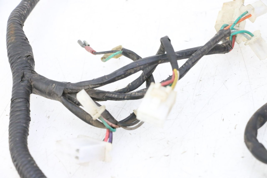 photo de WIRE HARNESS IMF INDUSTRIE PACH 2T 50 (2009 - 2018)