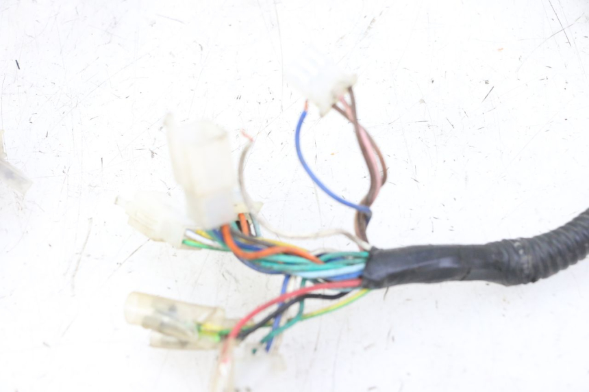 photo de WIRE HARNESS IMF INDUSTRIE PACH 2T 50 (2009 - 2018)