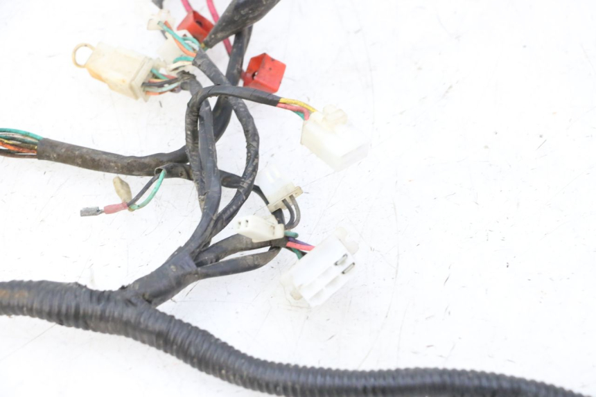 photo de WIRE HARNESS IMF INDUSTRIE PACH 2T 50 (2009 - 2018)