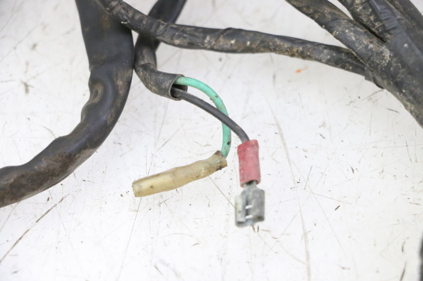photo de WIRE HARNESS IMF INDUSTRIE PACH 2T 50 (2009 - 2018)