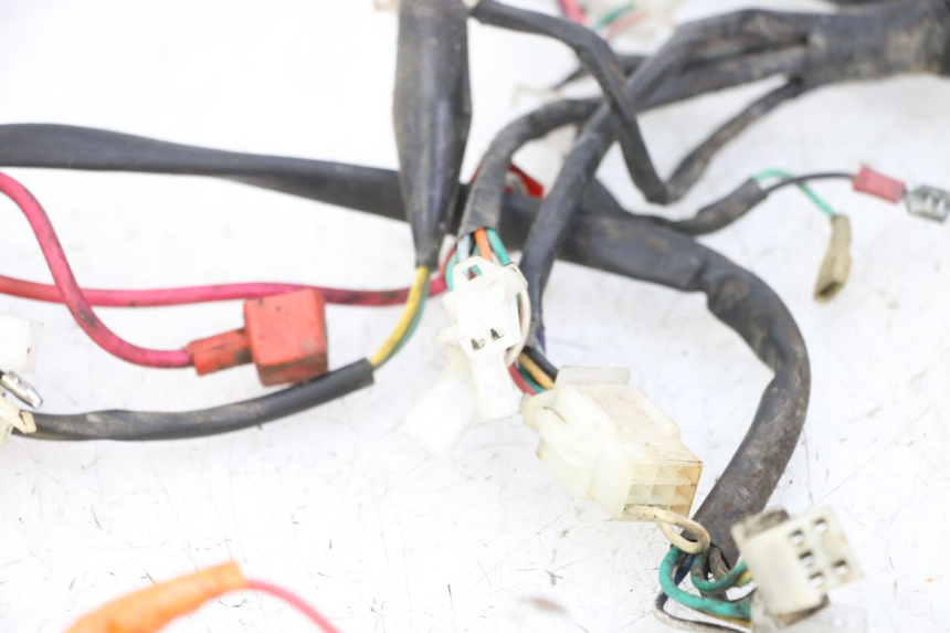 photo de WIRE HARNESS IMF INDUSTRIE PACH 2T 50 (2009 - 2018)