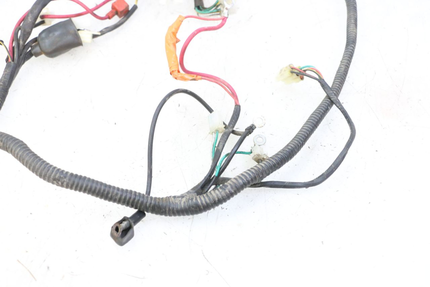 photo de WIRE HARNESS IMF INDUSTRIE PACH 2T 50 (2009 - 2018)