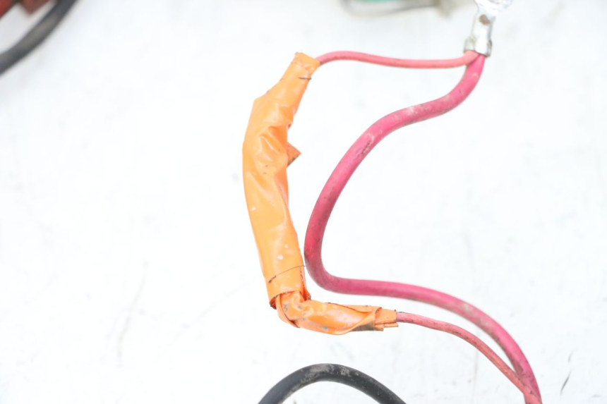 photo de WIRE HARNESS IMF INDUSTRIE PACH 2T 50 (2009 - 2018)