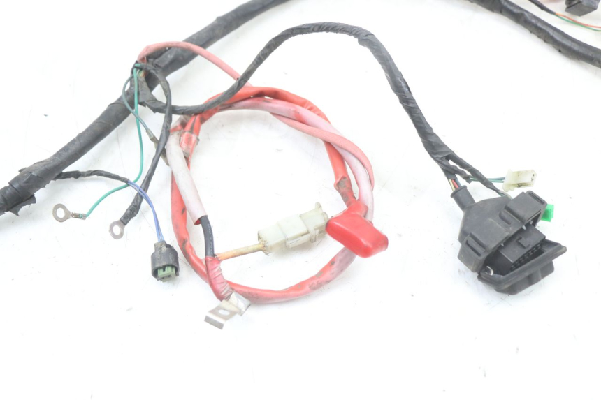 photo de WIRE HARNESS PEUGEOT BELVILLE 125 (2017 - 2021)