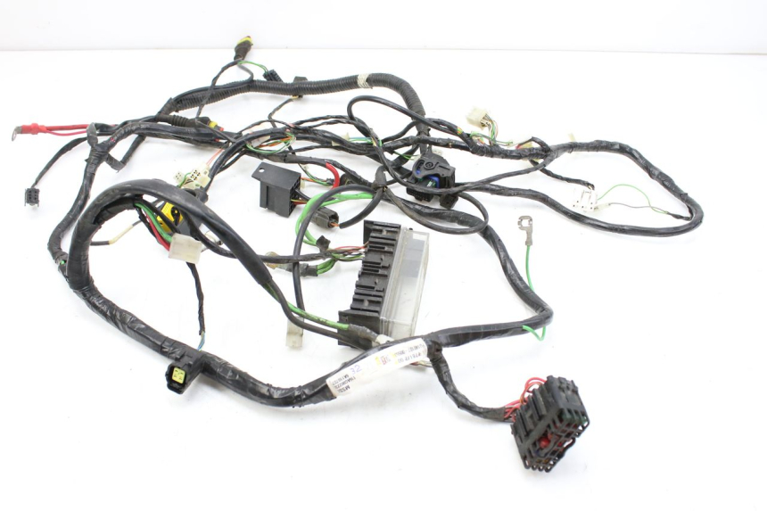 photo de WIRING HARNESS PEUGEOT CITYSTAR 125 (2011 - 2017)