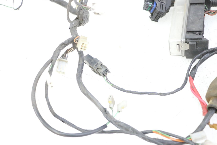 photo de WIRING HARNESS PEUGEOT CITYSTAR 125 (2011 - 2017)