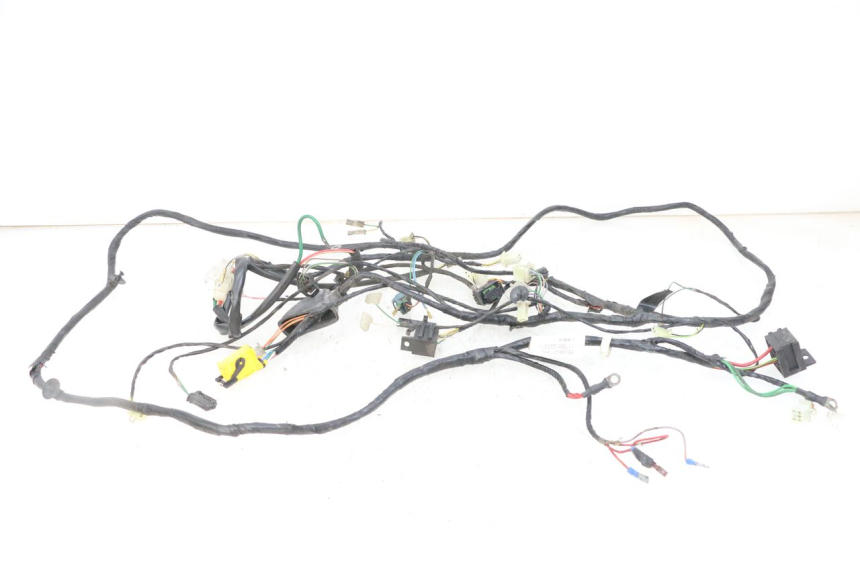 photo de WIRING HARNESS PEUGEOT CITYSTAR 2T 50 (2018 - 2021)