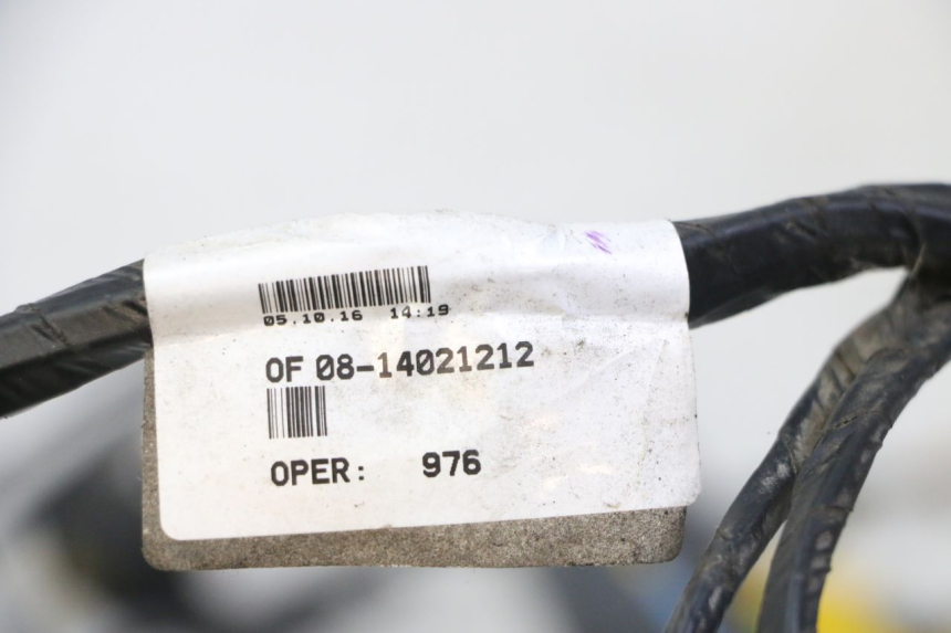 photo de WIRING HARNESS PEUGEOT CITYSTAR 2T 50 (2018 - 2021)