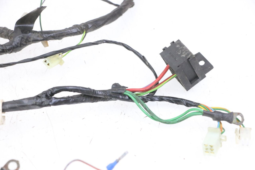 photo de WIRING HARNESS PEUGEOT CITYSTAR 2T 50 (2018 - 2021)