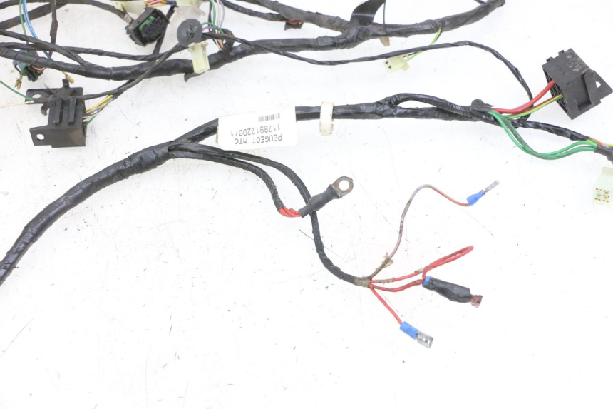 photo de WIRING HARNESS PEUGEOT CITYSTAR 2T 50 (2018 - 2021)