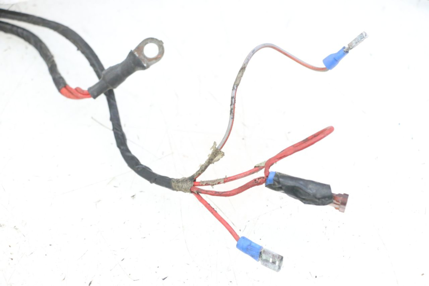 photo de WIRING HARNESS PEUGEOT CITYSTAR 2T 50 (2018 - 2021)