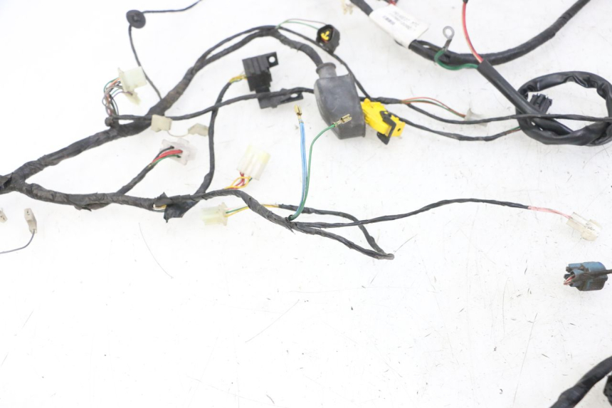 photo de WIRING HARNESS PEUGEOT CITYSTAR 2T 50 (2018 - 2021)