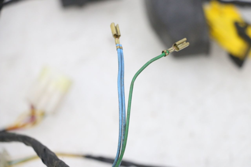 photo de WIRING HARNESS PEUGEOT CITYSTAR 2T 50 (2018 - 2021)