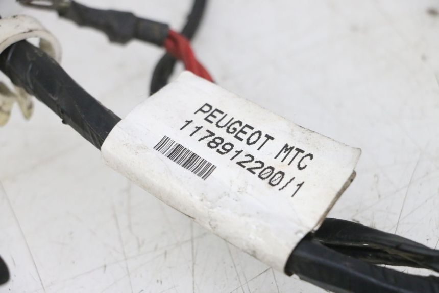photo de WIRING HARNESS PEUGEOT CITYSTAR 2T 50 (2018 - 2021)