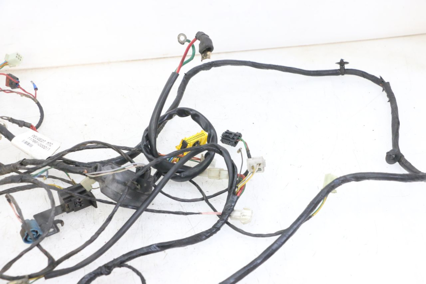 photo de WIRING HARNESS PEUGEOT CITYSTAR 2T 50 (2018 - 2021)