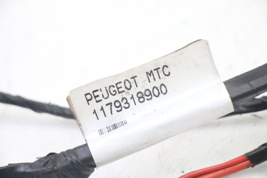 photo de WIRING HARNESS PEUGEOT CITYSTAR 2T 50 (2018 - 2021)