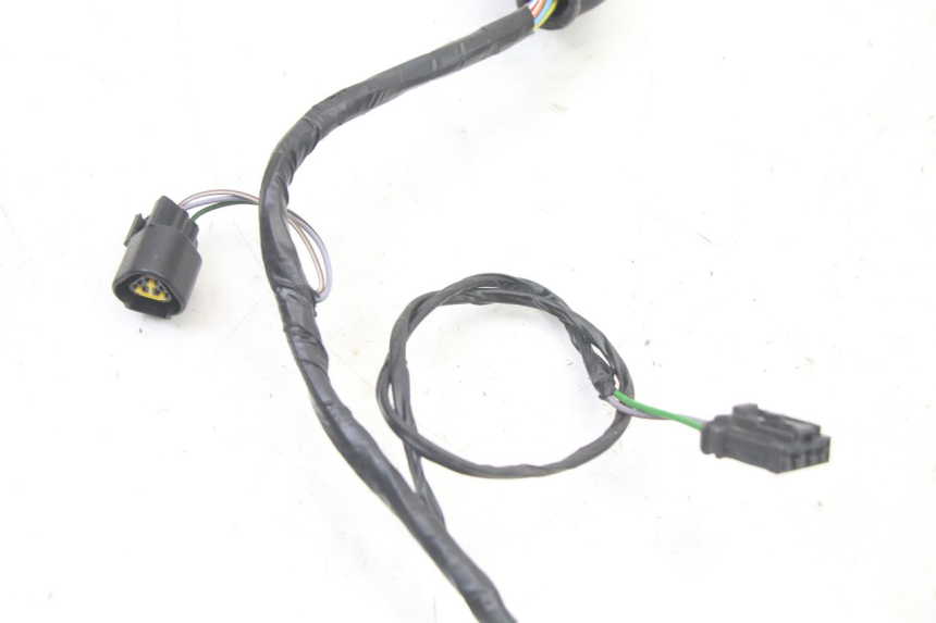 photo de WIRING HARNESS PEUGEOT CITYSTAR 2T 50 (2018 - 2021)