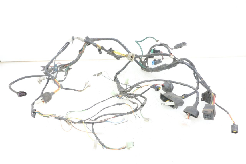 photo de WIRE HARNESS PEUGEOT ELYSTAR 125 (2002 - 2007)