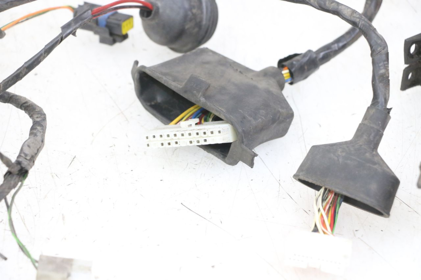 photo de WIRE HARNESS PEUGEOT ELYSTAR 125 (2002 - 2007)