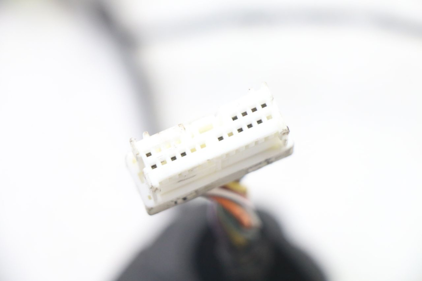 photo de WIRING HARNESS PEUGEOT ELYSTAR 50 (2002 - 2014)