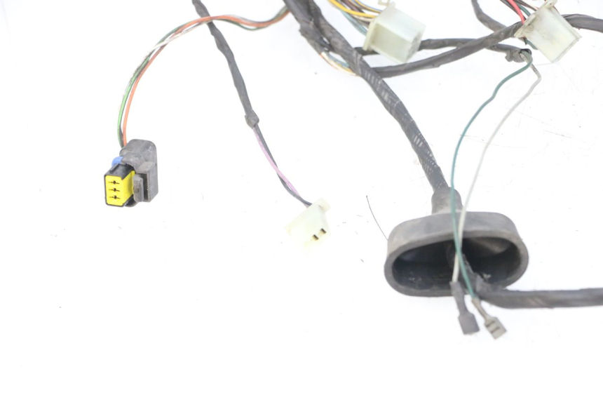 photo de WIRING HARNESS PEUGEOT ELYSTAR 50 (2002 - 2014)